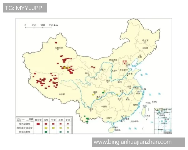 重庆羽毛球队阵地战解析：从战术布局到选手表现的全面探讨